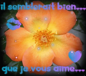 =>Je VoUs AiMe FoRt<=